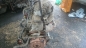 Preview: Audi 80 2,3 5Zyl. Motor NG